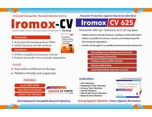 Irosys Product Catalog — Page 13