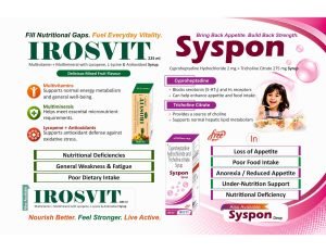 Irosys Product Catalog — Page 19