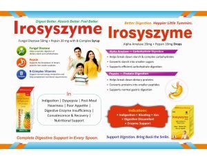 Irosys Product Catalog — Page 21